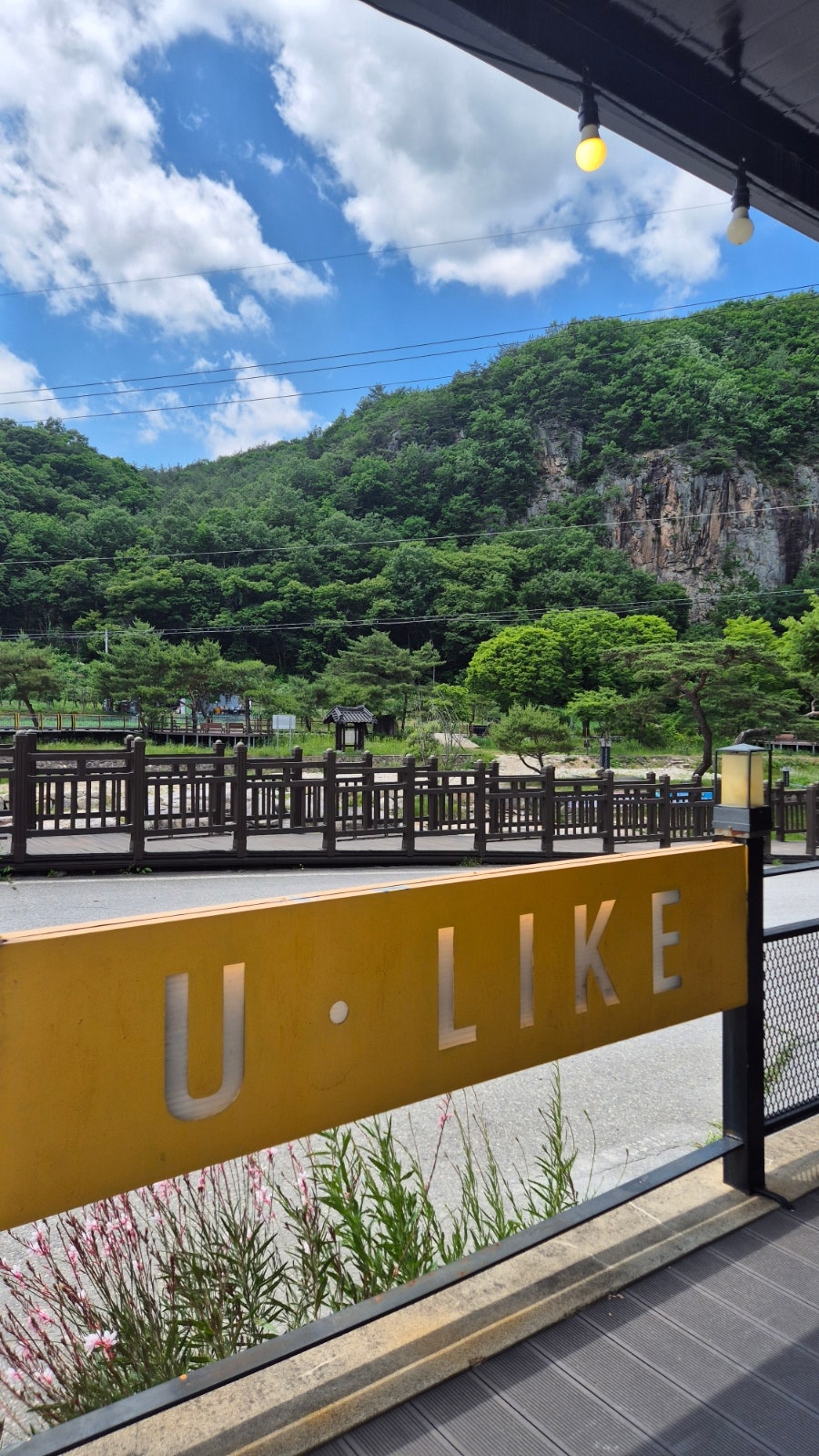 유라이크 사진 3