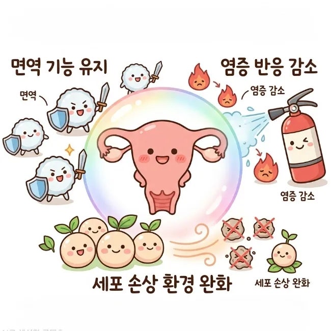 자궁경부암 식단 관리 총정리｜면역력과 염증 조절 중심 영양 전략