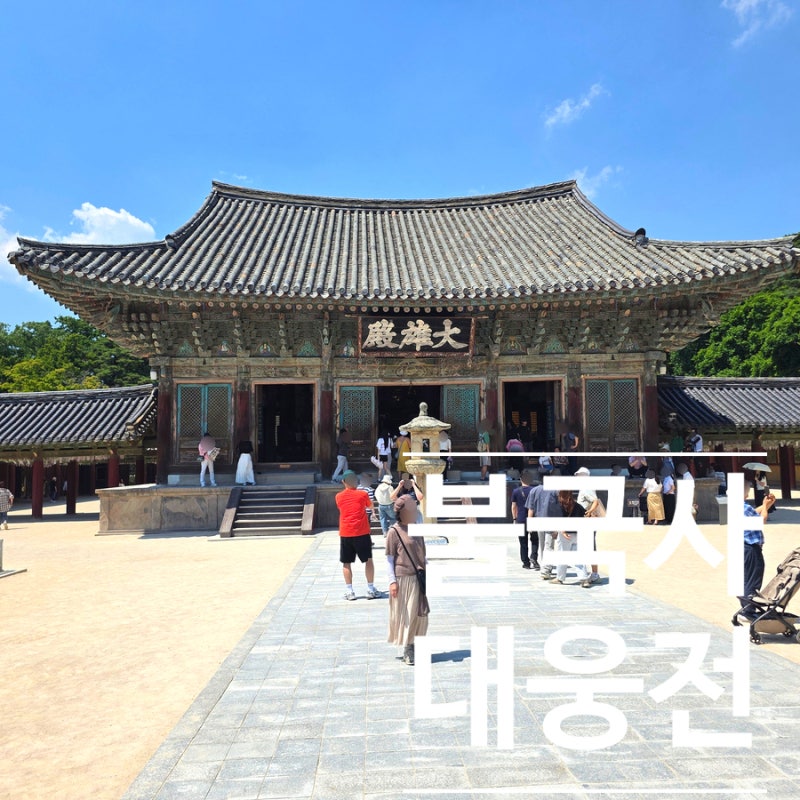 천년 고찰 경주 불국사 대웅전 해체 보수공사전에 다녀왔습니다