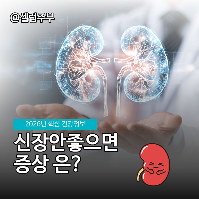 신장안좋으면 나타나는 신장암 증상 1~4기 정상 신장수치