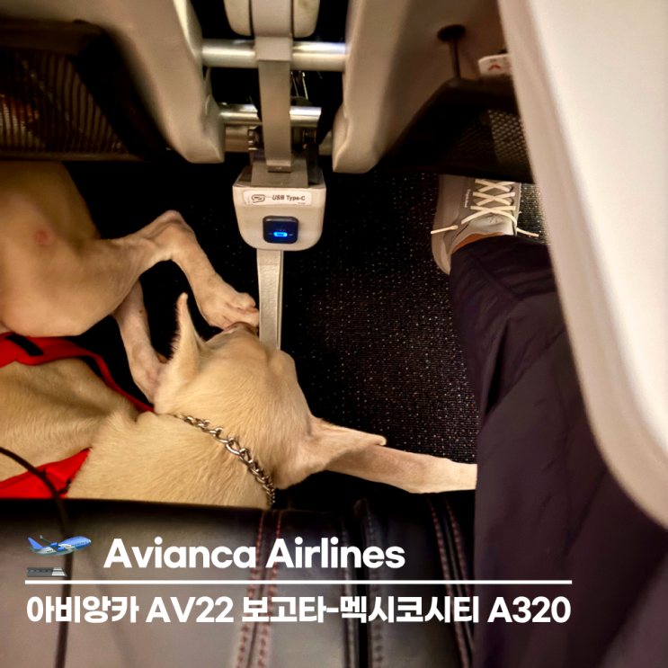 아비앙카 항공 AV22 <b>보고타</b>-멕시코시티 A320 지연 추천좌석... 