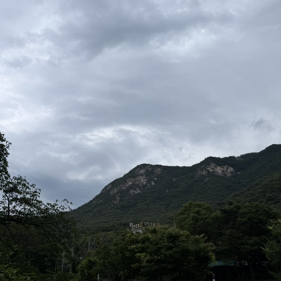 퍼시먼 사진 3