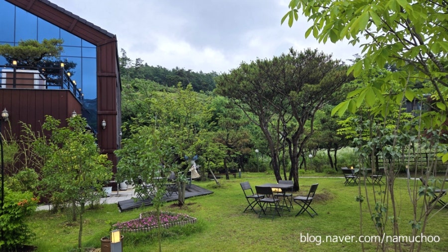 미몽 사진 3