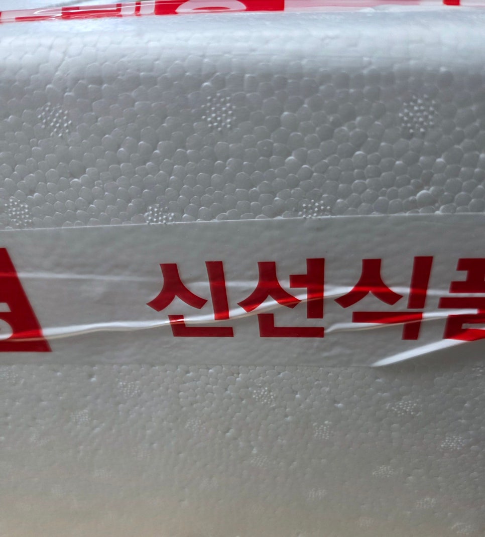 제주은갈치 사진 2