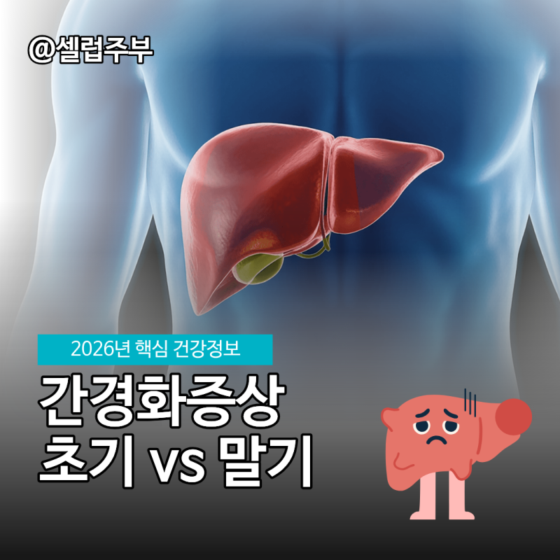 간경화 초기증상 vs 알콜성 말기증상 치료 방법!