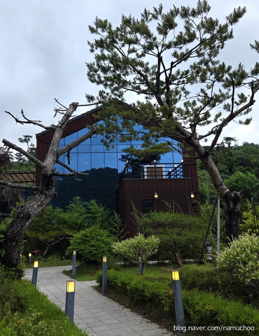 미몽 사진 1