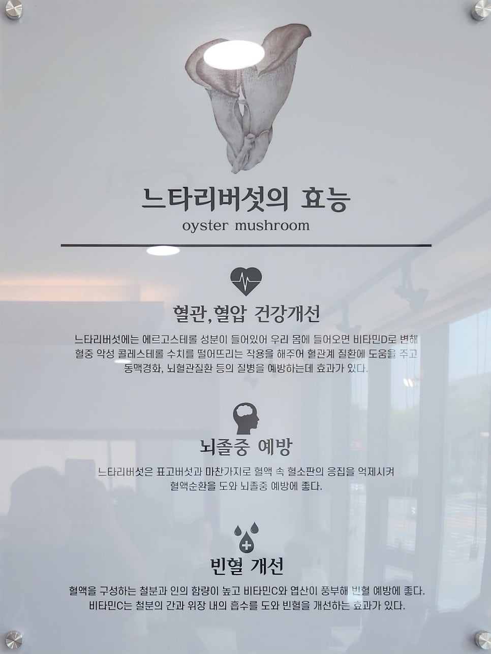 등촌샤브칼국수 동암점 사진 5
