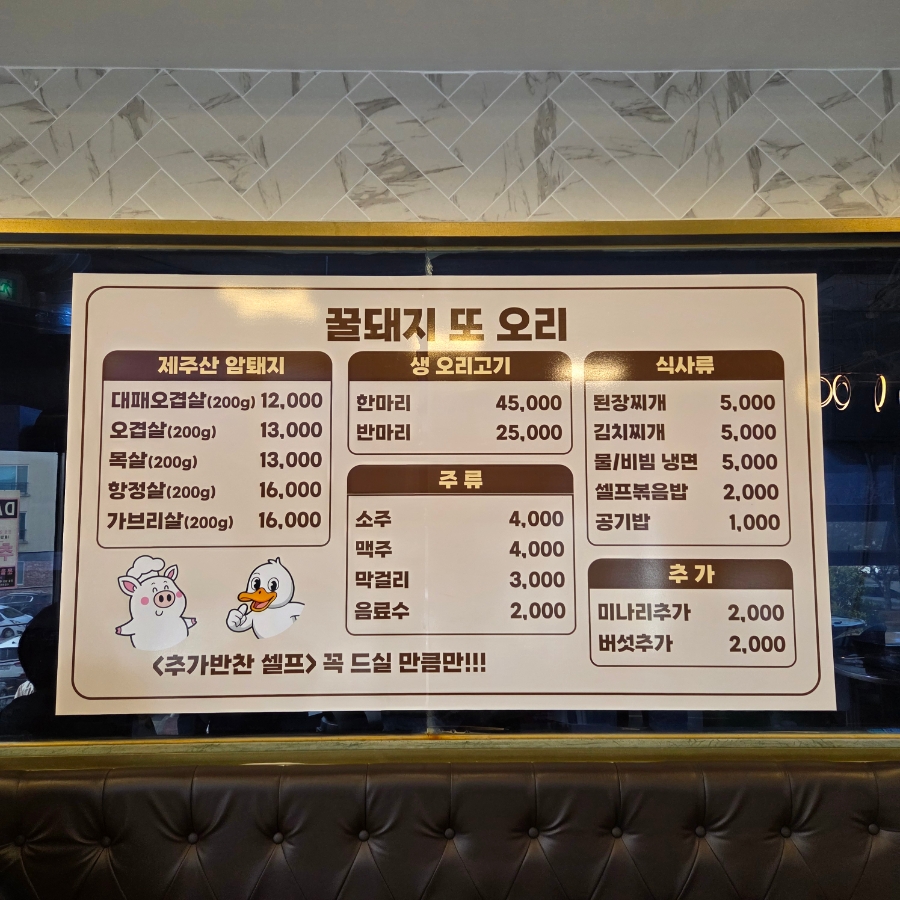 꿀돼지 사진 6