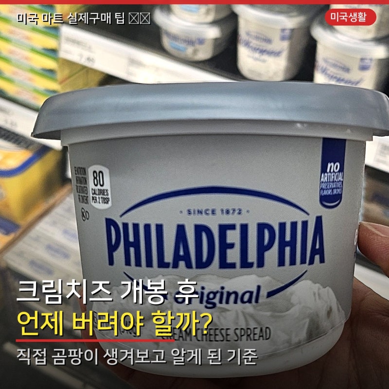 크림치즈 냉동보관 되나요? 개봉 후 며칠까지·버리는 기준 (직접 확인)