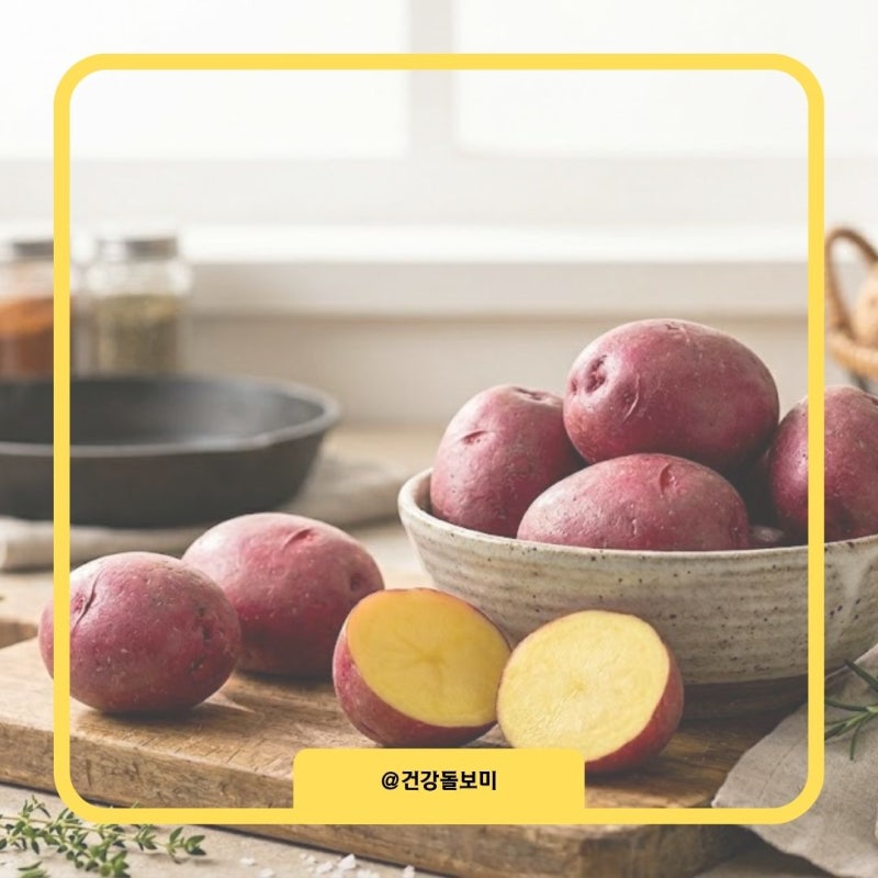 홍감자 효능 먹는법 제철 시기 맛 칼로리