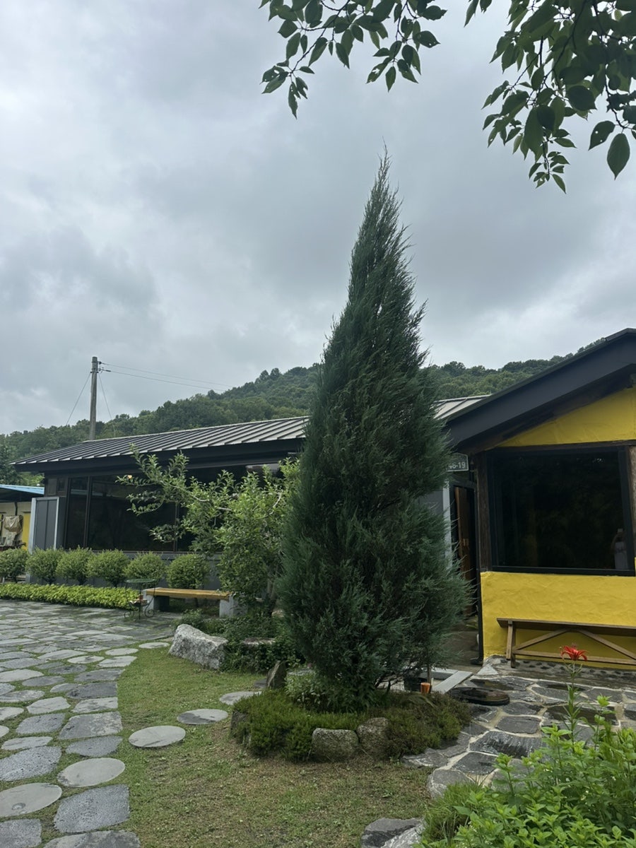 카페 솔모랭이 사진 6