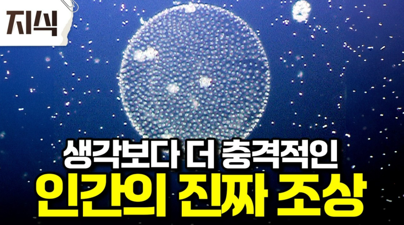 "인간은 어디서 왔을까?" 미생물에서 시작된 생명의 역사부터 다윈의 진화론까지>
