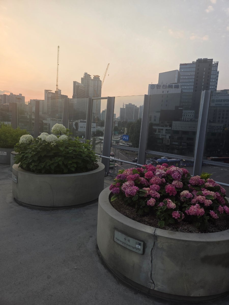 스시7017 사진 6