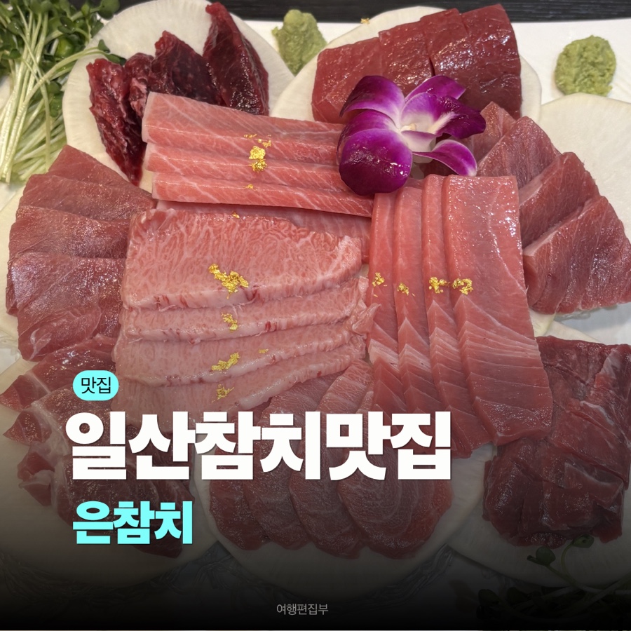 은참치 사진 1