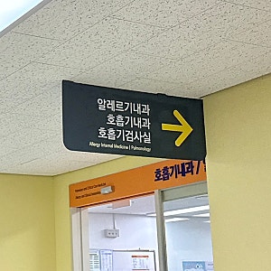 [일상] 강원대학교병원 알레르기내과 | MAST 알러지검사 후기 | 검사비용