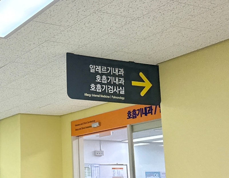 [일상] 강원대학교병원 알레르기내과 | MAST 알러지검사 후기 | 검사비용