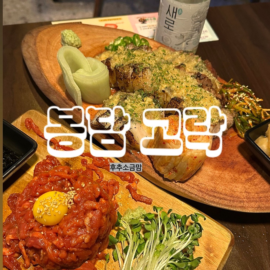 고락 사진 1