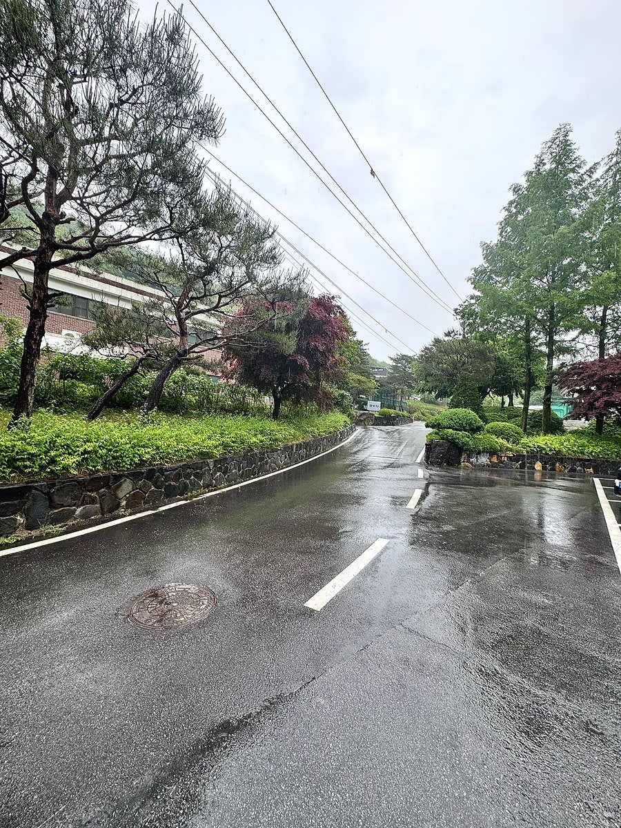 벌꿀카페 사진 1