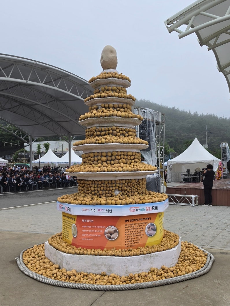서산 가볼만한곳 포슬포슬 팔봉산 감자축제 6월20~ 21일 방문후기