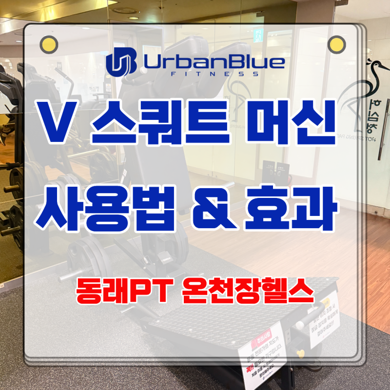 브이스쿼트 머신 사용법 및 효과 온천장 PT 동래 헬스장