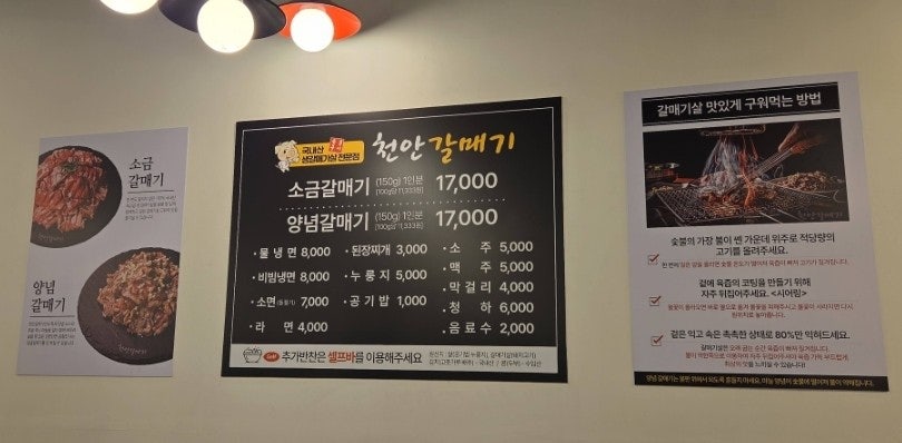 금오갈매기 사진 3