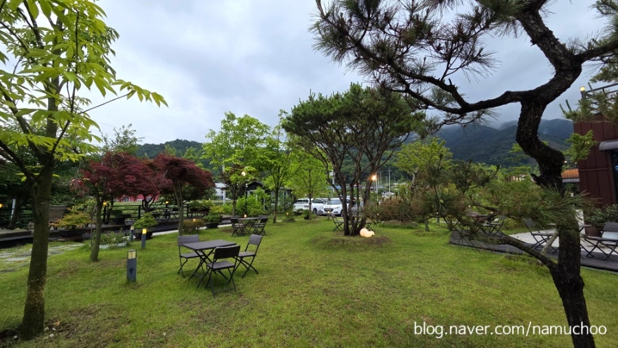 미몽 사진 6