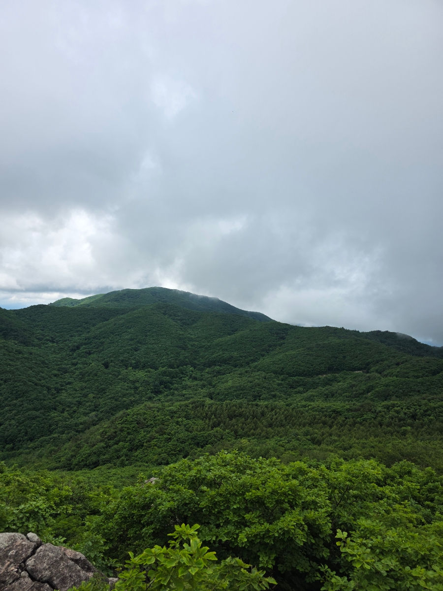 곰직이산 사진 6