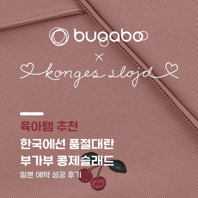 예쁜건 포기못하는 엄마의 유모차 선택 부가부 콩제슬래드 버터플라이2 일본 예약 성공후기