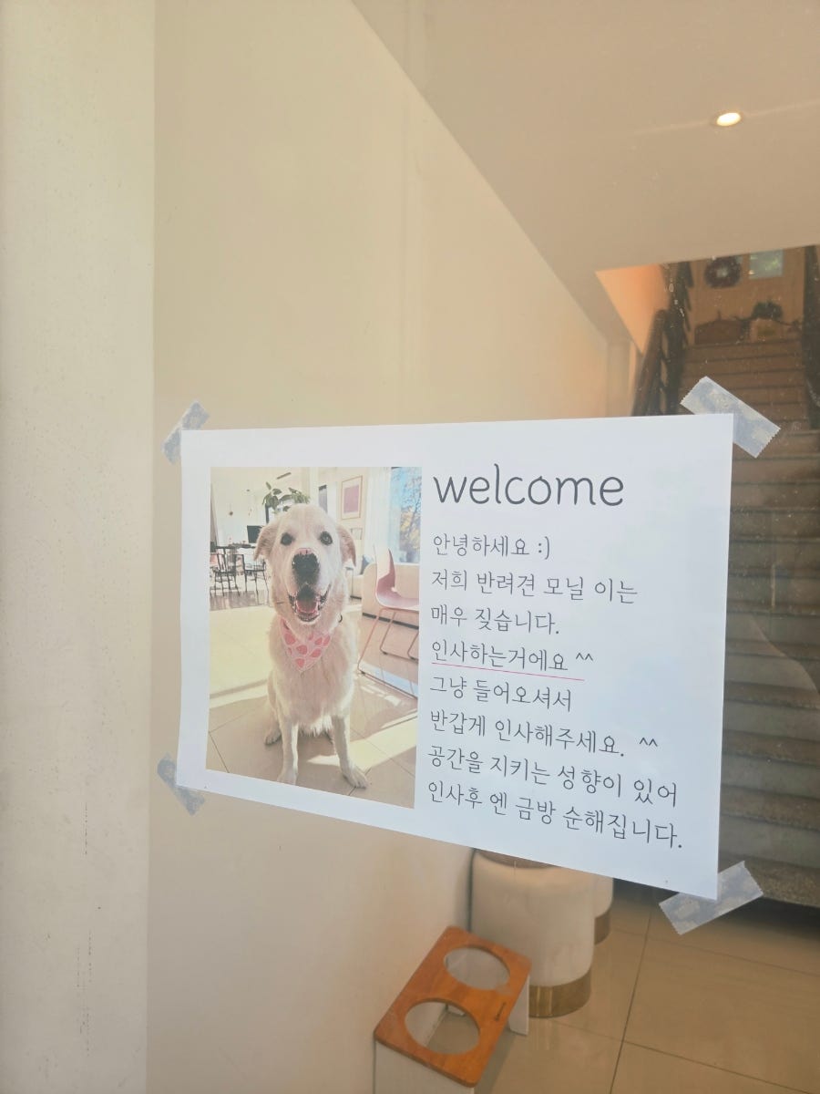 카페모닐레 사진 4
