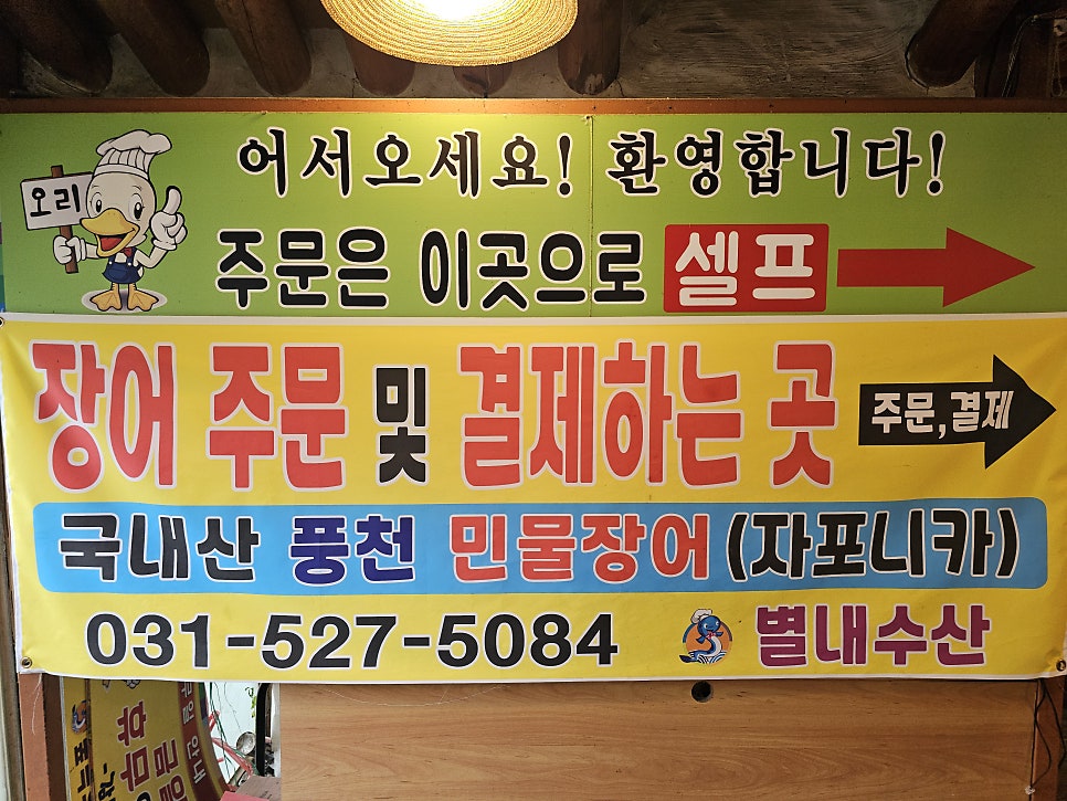 숲속의장어 사진 3