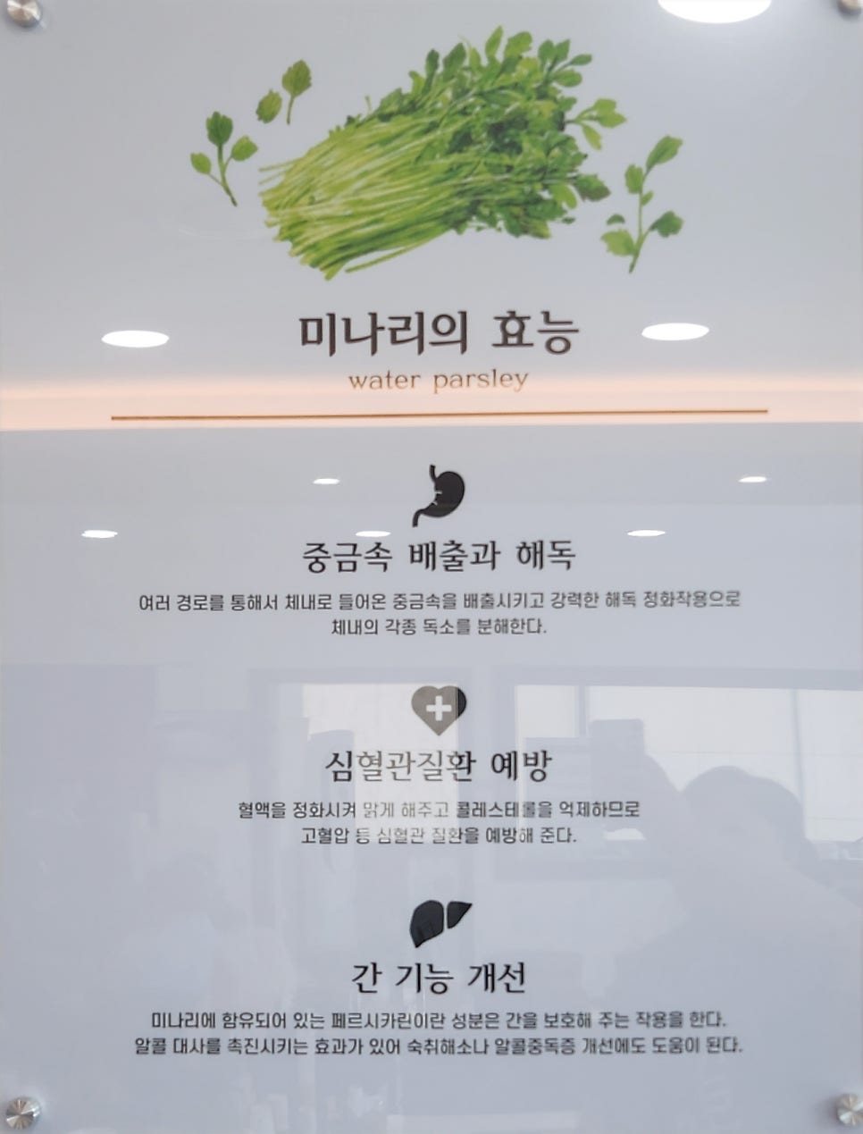 등촌샤브칼국수 동암점 사진 4