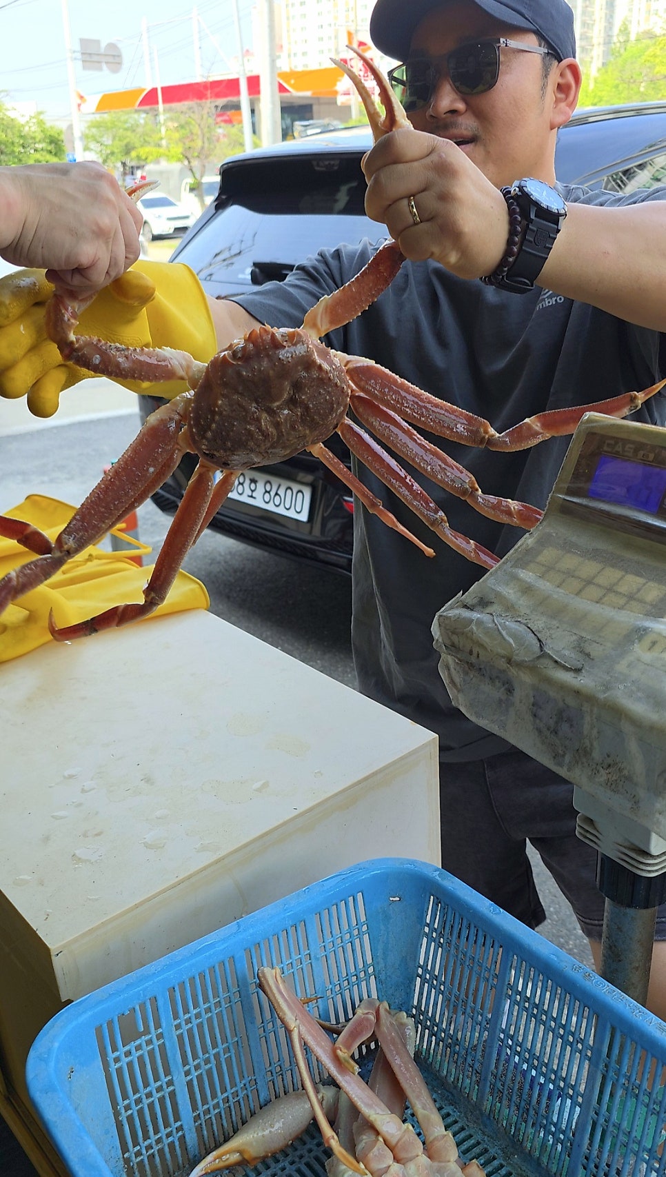 일산대게하우스 사진 2