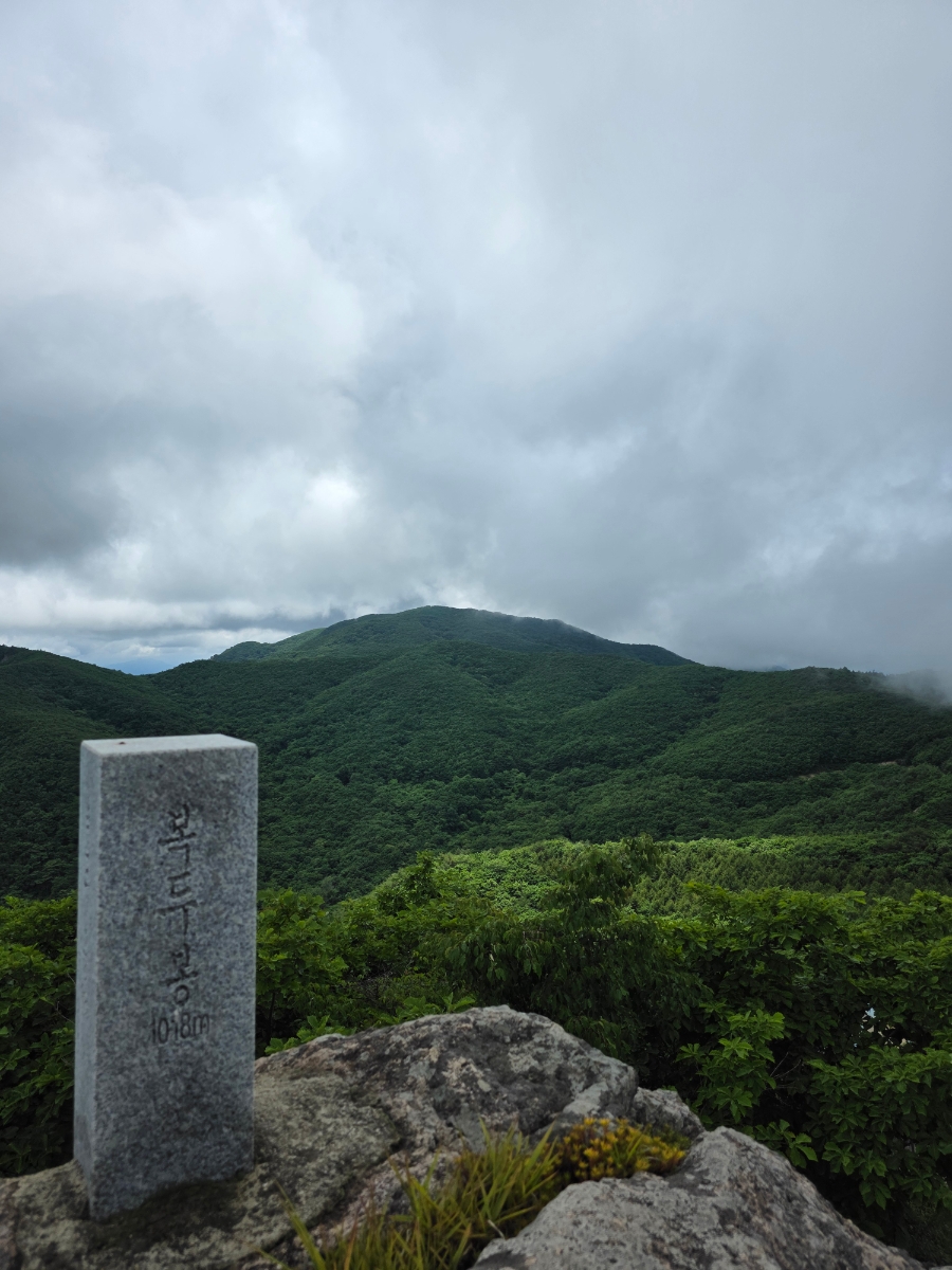 곰직이산 사진 4