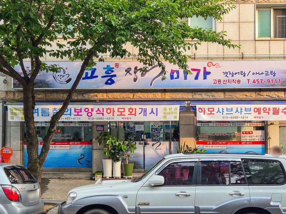 고흥장어미가 사진 1