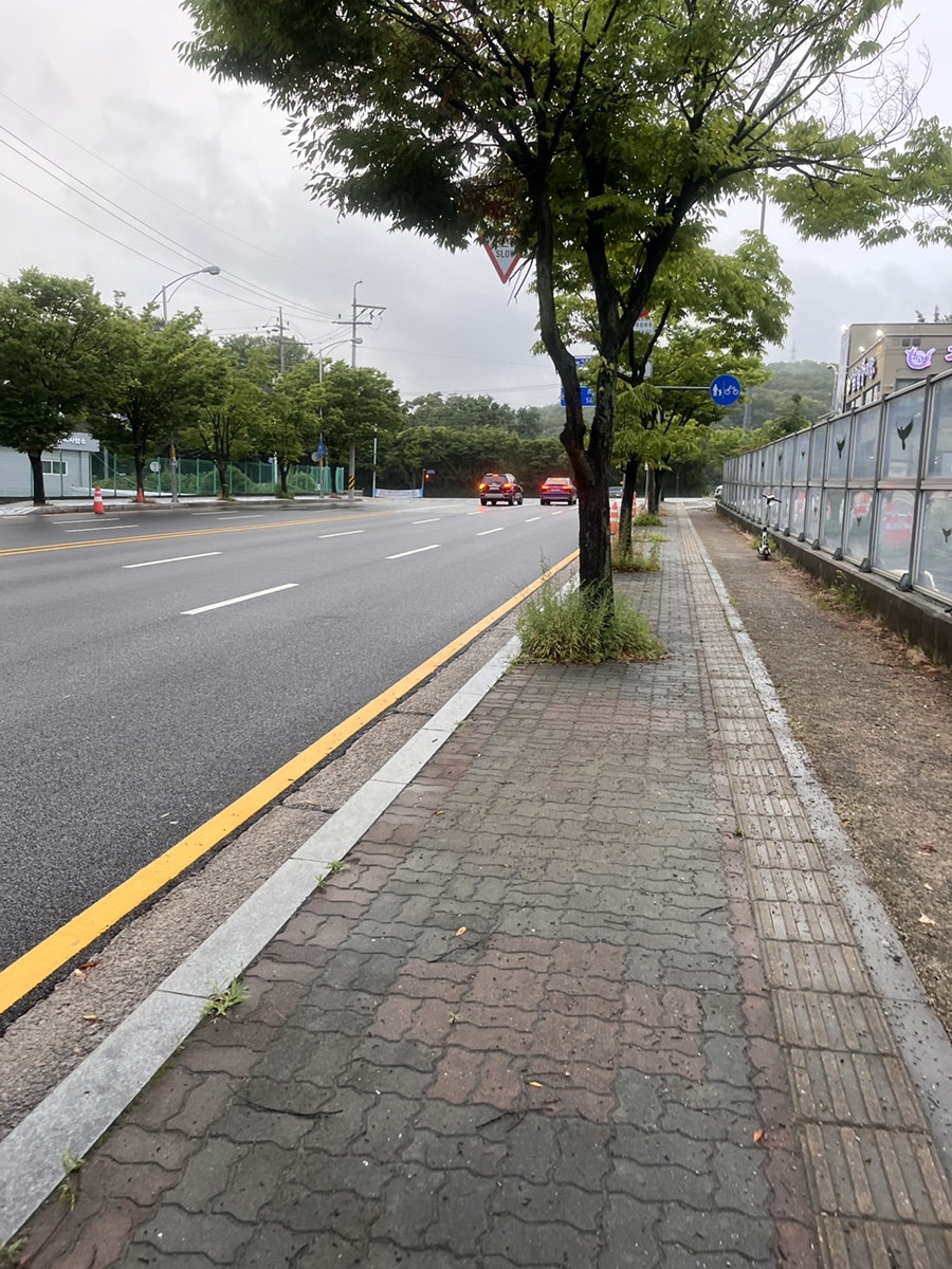 추오정 남원추어탕 장안점 사진 3