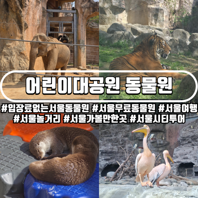 서울에 입장료 없는 동물원이 있다? 서울 어린이대공원 동물원