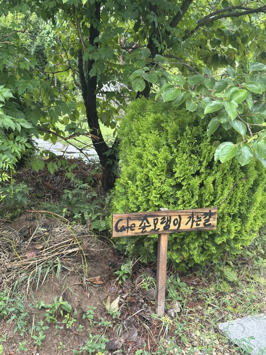 카페 솔모랭이 사진 2