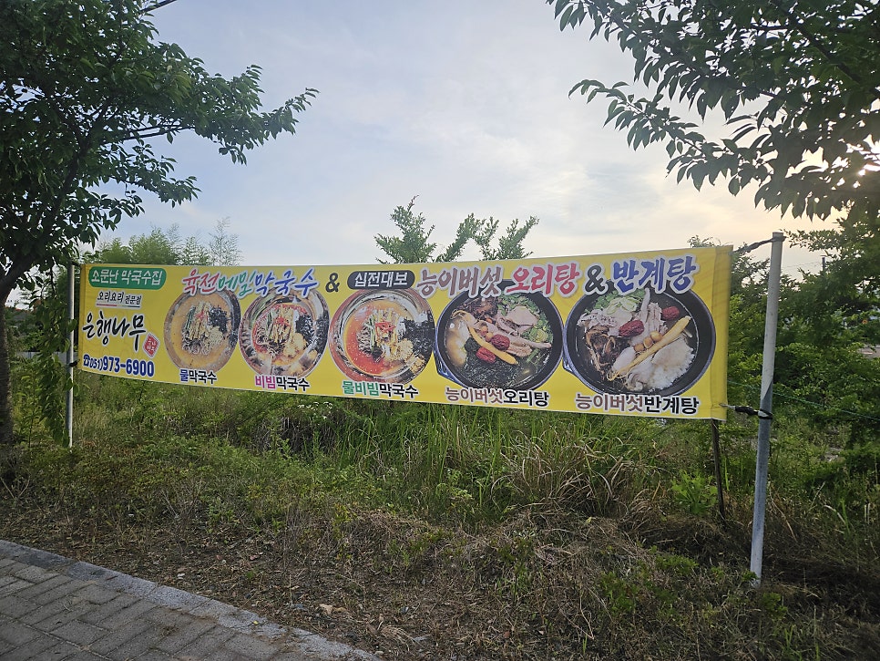 은행나무집 사진 2