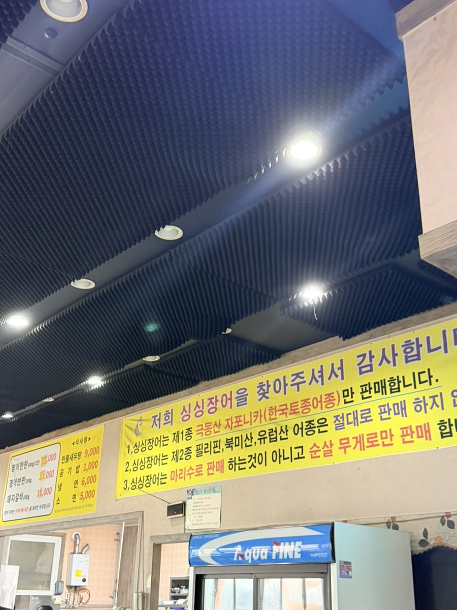 싱싱장어 사진 2