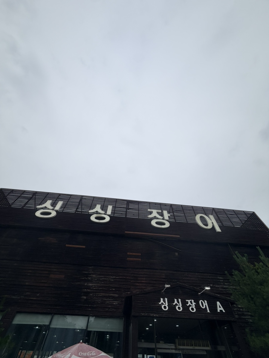 싱싱장어 사진 1