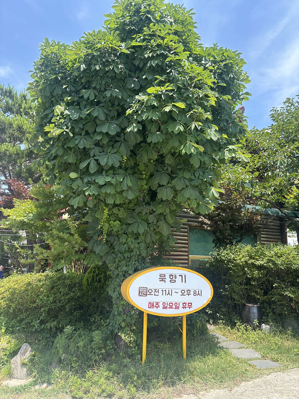 묵향기 사진 5