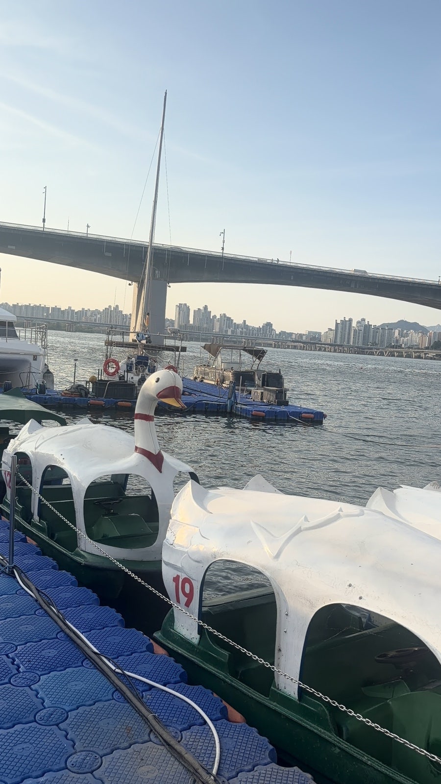BBQ 여의도파라다이스점 사진 6