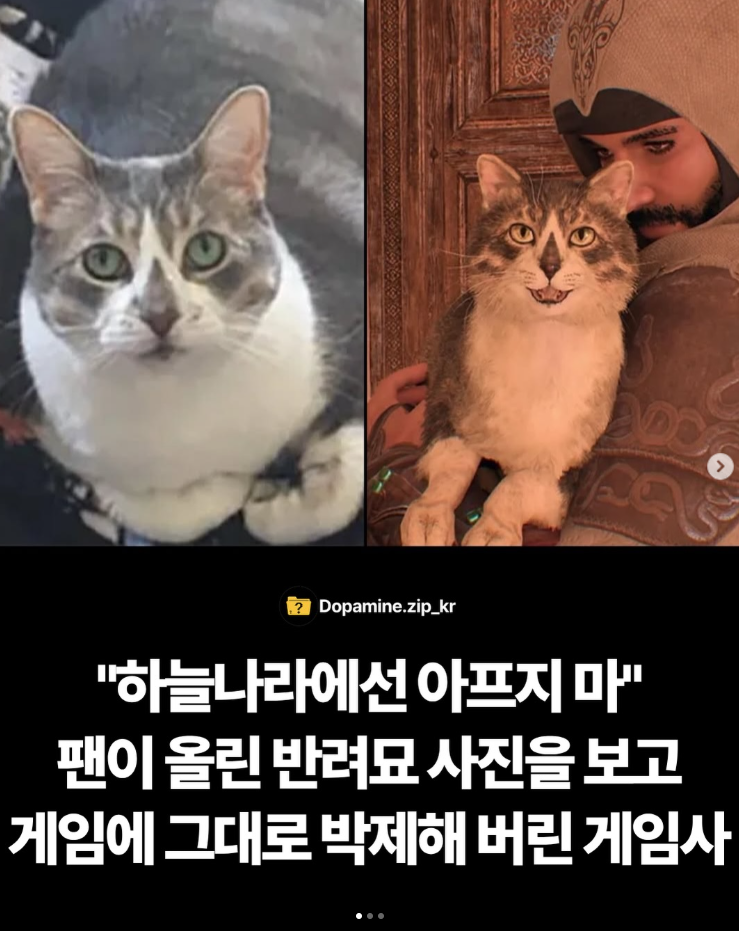  하늘나라에선 아프지 마, 팬이 올린 반려묘 사진을 보고 게임에 그대로 박제해 버린 게임사