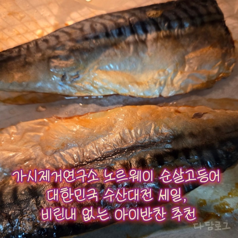가시제거연구소 노르웨이 순살고등어 대한민국 수산대전 세일, 비린내 없는 아이반찬 추천