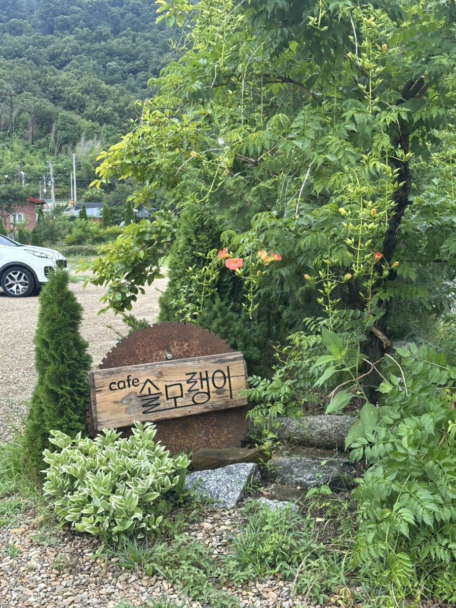 카페 솔모랭이 사진 1