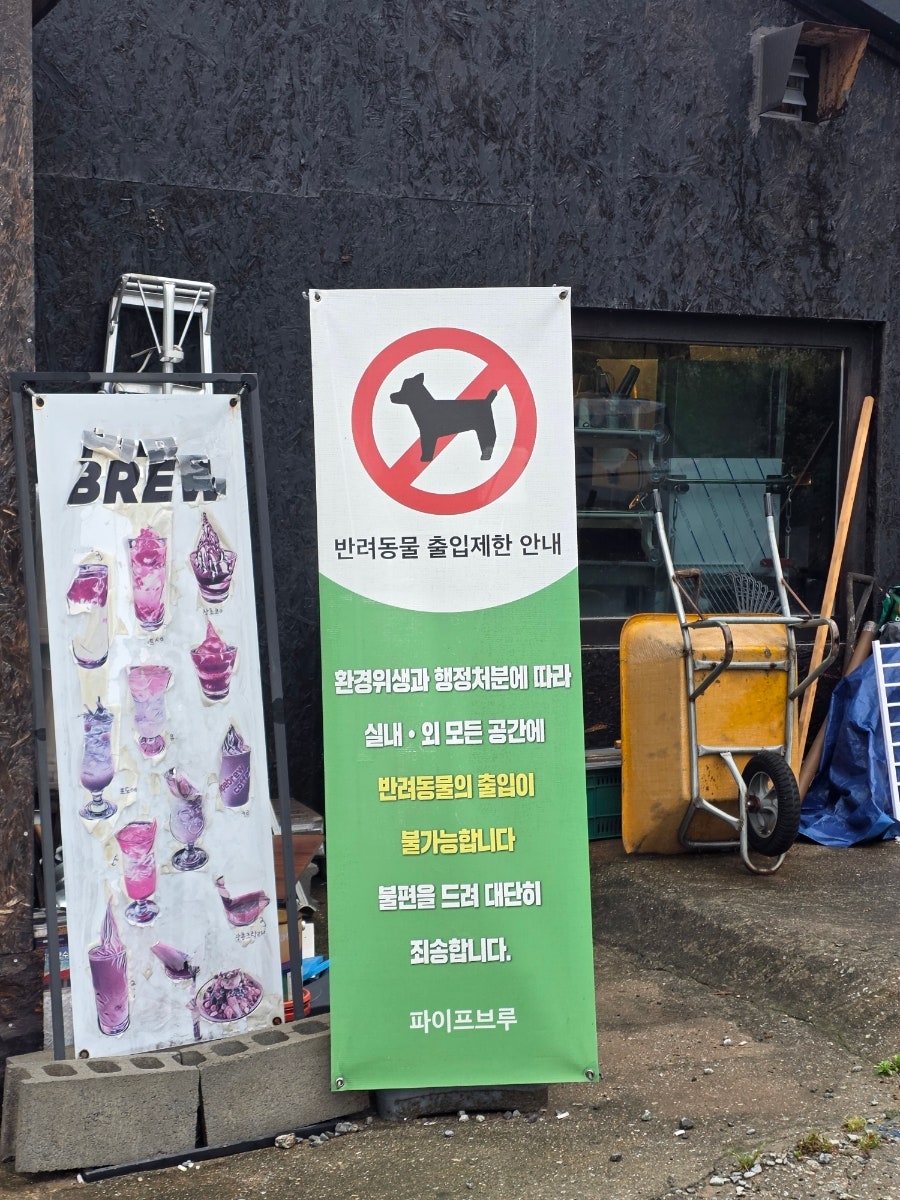 파이프브루 사진 4