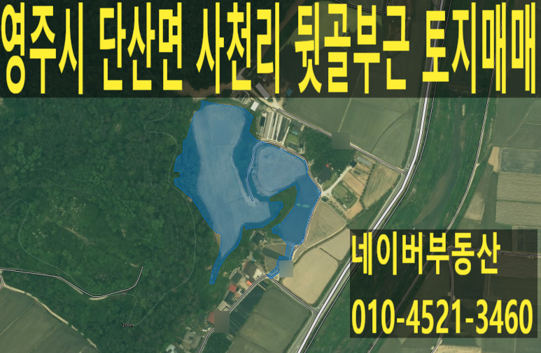 뒷골