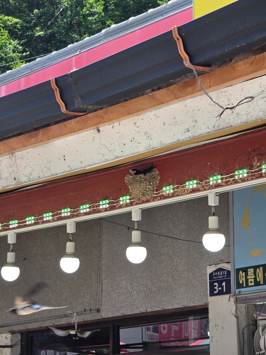 백산커피 사진 3