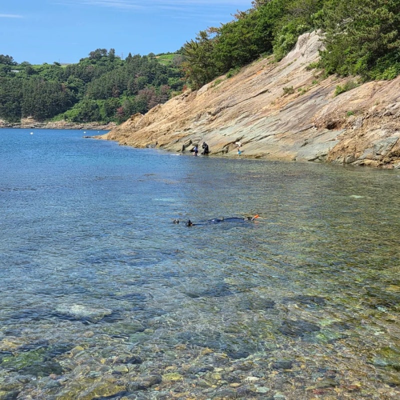 통영 욕지도 청보리캠핑장(스노쿨링,낚시)