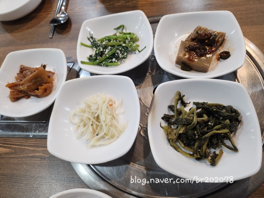 해송명태 사진 5